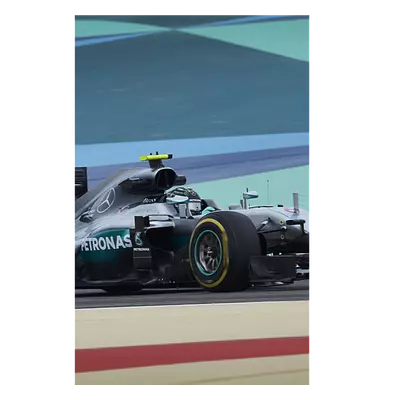 Фото на холсте f1 mercedes, размера 30x45