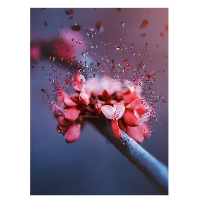 Фото на холсте абстрактный цветок, размера 60x80