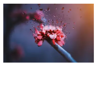 Фото на холсте абстрактный цветок, размера 90x60