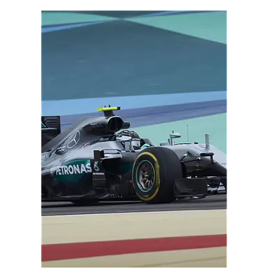 Фото на холсте f1 mercedes, размера 30x40