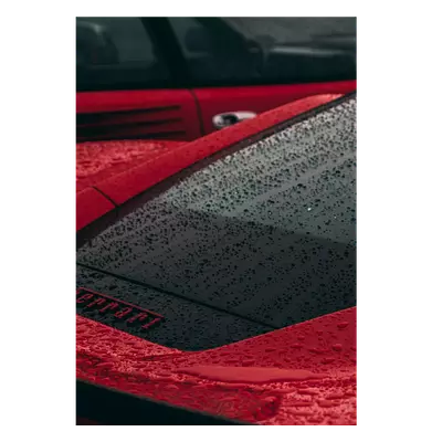 Фото на холсте красный феррари под дождем, размера 70x100