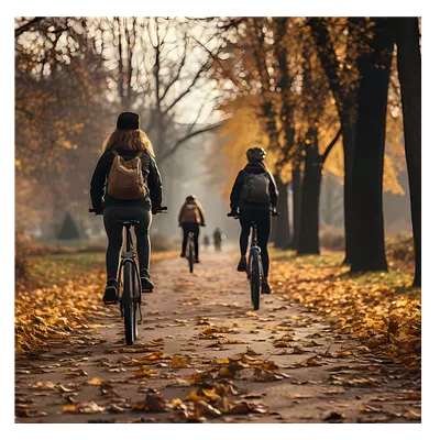 Фото на холсте велосипедисты в лесу, размера 50x50
