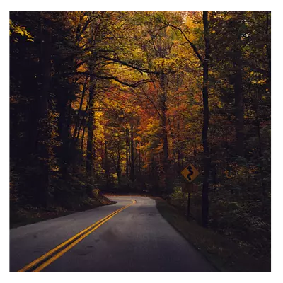 Фото на холсте дорога в лесу, размера 30x30