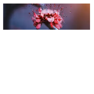 Фото на холсте абстрактный цветок, размера 90x30