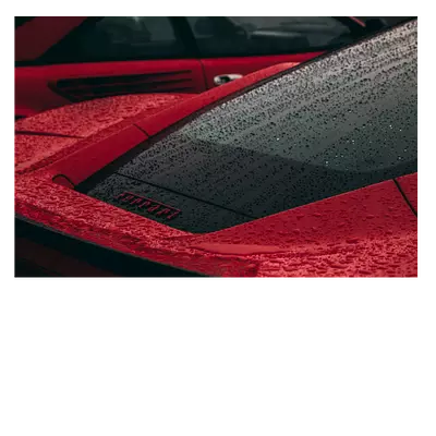 Фото на холсте красный феррари под дождем, размера 75x50