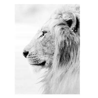 Фото на холсте лев в светлых тонах, размера 30x40