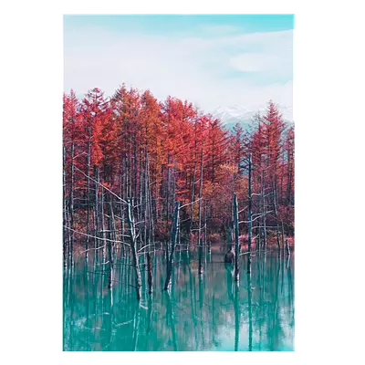 Фото на холсте деревья в воде, размера 70x100