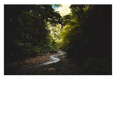 Фото на холсте тропический ручей, размера 120x80