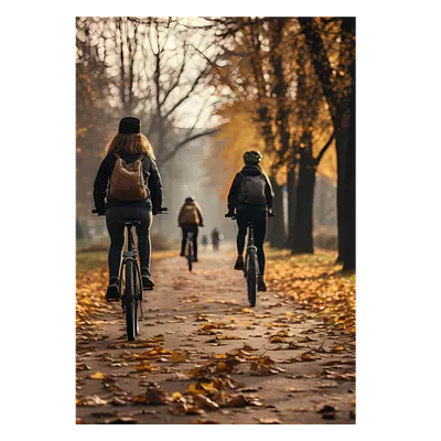 Фото на холсте велосипедисты в лесу, размера 70x100