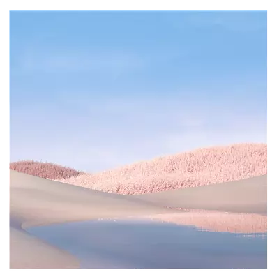Фото на холсте белые поля, размера 50x50
