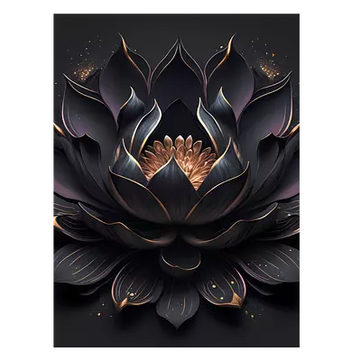 Фото на холсте чёрный цветок, размера 60x80