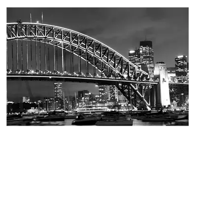 Фото на холсте мост ч/б, размера 90x60