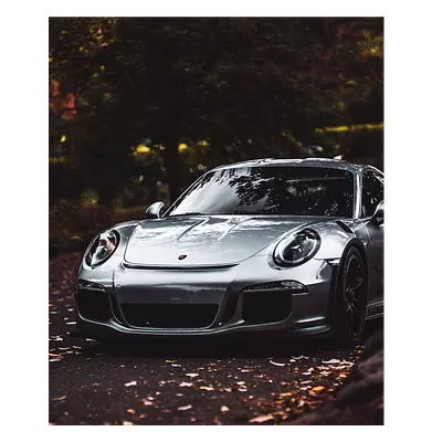 Фото на холсте porsche, размера 50x60