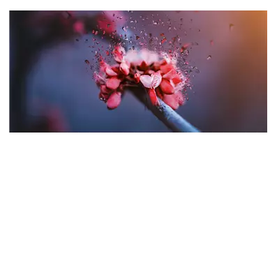 Фото на холсте абстрактный цветок, размера 80x40