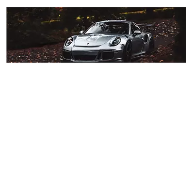 Фото на холсте porsche, размера 120x40
