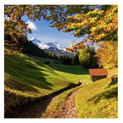 Фото на холсте дорога в зеленом лесу, размера 80x80