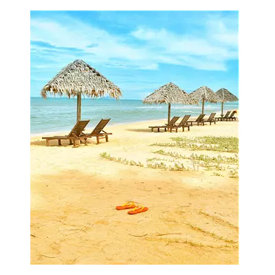 Фото на холсте песчаный пляж, размера 50x60