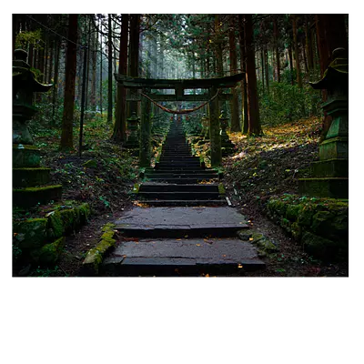 Фото на холсте с лестницей в лесу. размер 50х40 см.