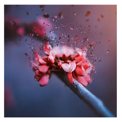 Фото на холсте абстрактный цветок, размера 60x60