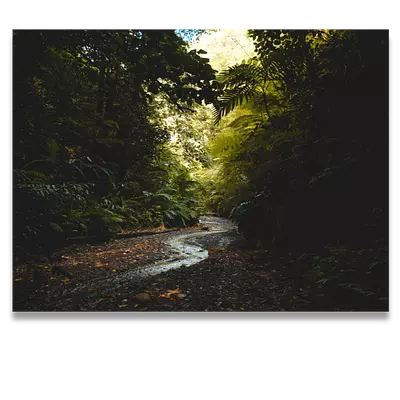 Фото на холсте тропический ручей, размера 80x60