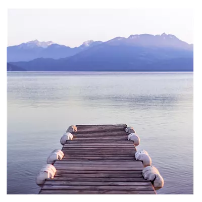 Фото на холсте пристань, размера 40x40