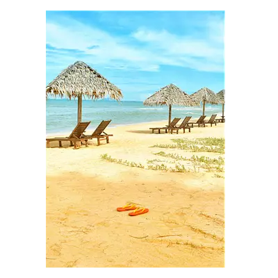 Фото на холсте песчаный пляж, размера 50x70