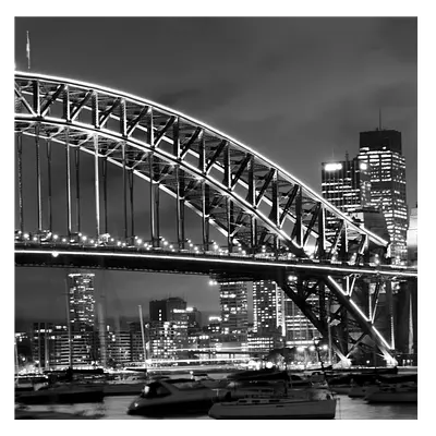 Фото на холсте мост ч/б, размера 60x60