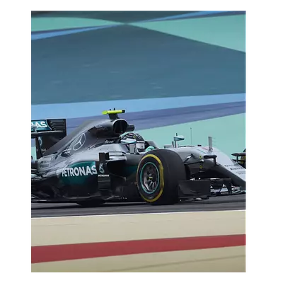 Фото на холсте f1 mercedes, размера 50x60