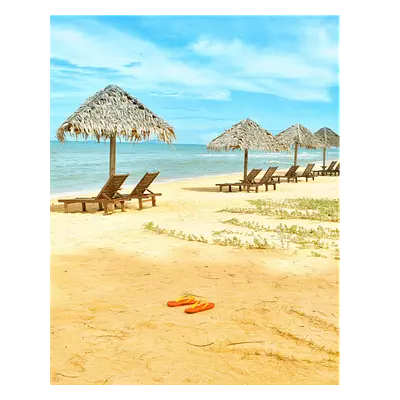 Фото на холсте песчаный пляж, размера 40x50