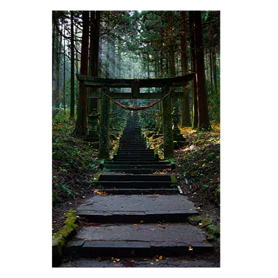 Фото на холсте лестница в лесу, размера 80x120