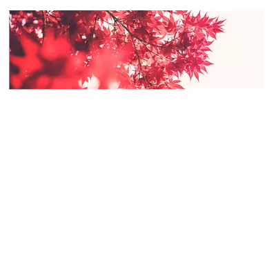 Фото на холсте красные листья, размера 120x40