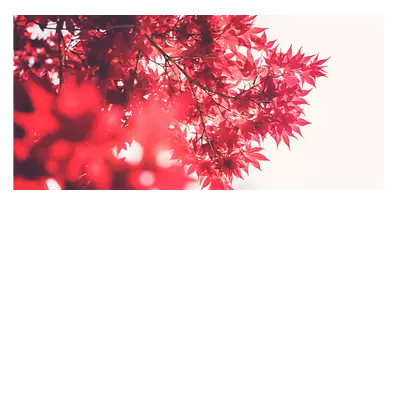 Фото на холсте красные листья, размера 80x40