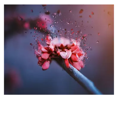 Фото на холсте абстрактный цветок, размера 60x50