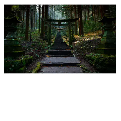 Лестница в лесу 30х20 см, до 220 символов