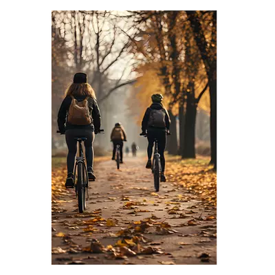 Фото на холсте велосипедисты в лесу, размера 60x90