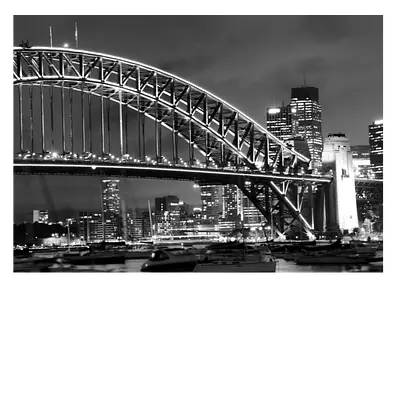 Фото на холсте мост ч/б, размера 70x50