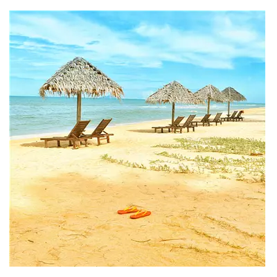 Фото на холсте песчаный пляж, размера 40x40