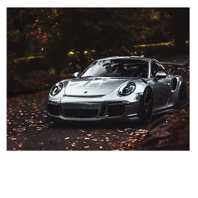 Фото на холсте 50x40 для стильного интерьера»**