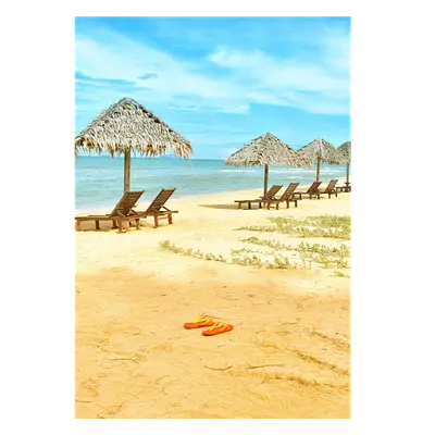 Фото на холсте песчаный пляж, размера 70x100