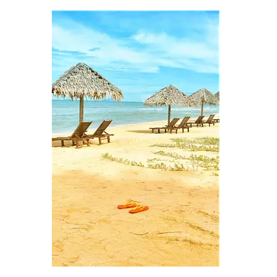 Фото на холсте песчаный пляж, размера 80x120