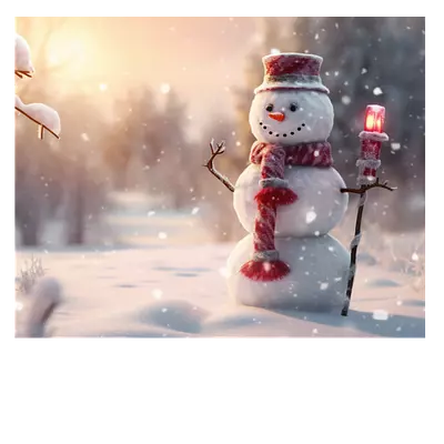 Закажите фото на холсте снеговик 50х40 см по выгодной цене!