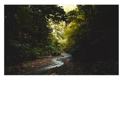 Фото на холсте тропический ручей 30х20 см. печать фотокниг!