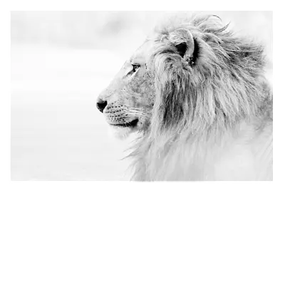 Фото на холсте лев в светлых тонах, размера 90x60