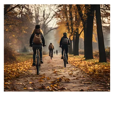 Фото на холсте велосипедисты в лесу, размера 60x50