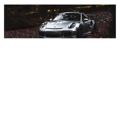 Фото на холсте porsche, размера 90x30