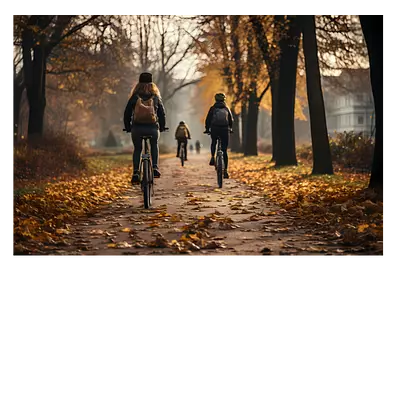 Фото на холсте велосипедисты в лесу, размера 90x60