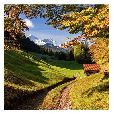 Фото на холсте дорога в зеленом лесу, размера 60x60