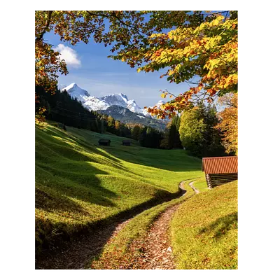 Фото на холсте дорога в зеленом лесу, размера 40x50