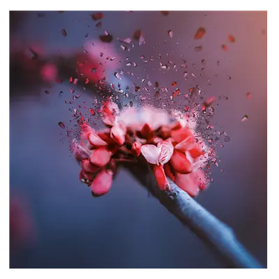 Фото на холсте абстрактный цветок, размера 80x80