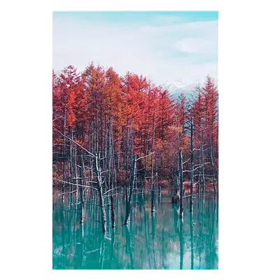 Фото на холсте деревья в воде, размера 40x60